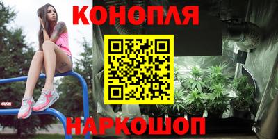 соль ск Будённовск