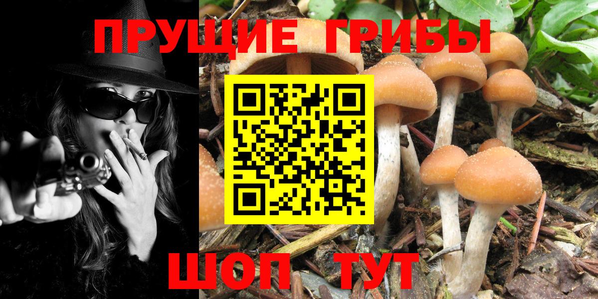 КОКАИН  Лсд 25  Ржев  Мефедрон кристаллы  ГАШИШ  Вход с VPN  Каннабис 