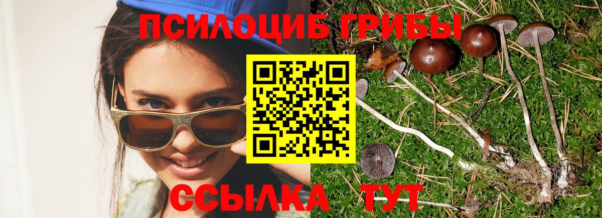 Псилоцибиновые грибы прущие грибы Ржев